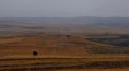 /album/photogallery-shiraz/countryside-shiraz-1-jpg/